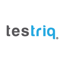 TESTRIQ QA LAB LLP